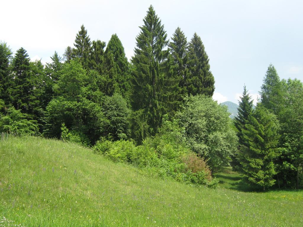 Вілла Chalet La Montagnola Borgo Valsugana Екстер'єр фото
